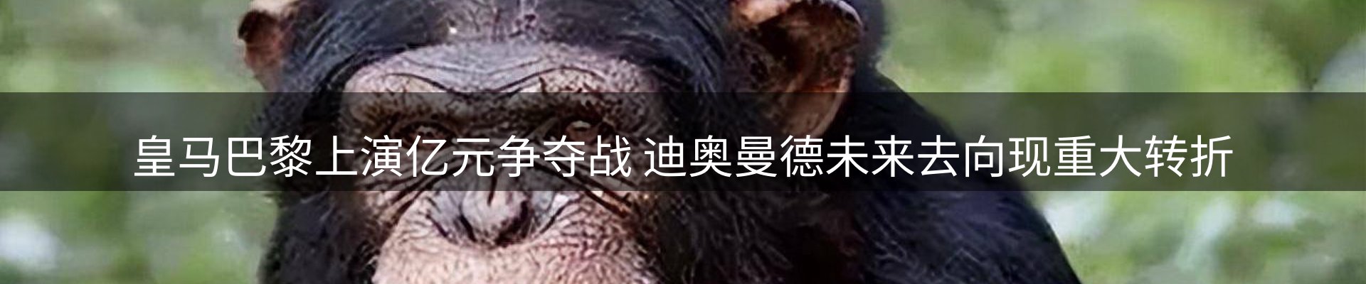 ued官网要闻