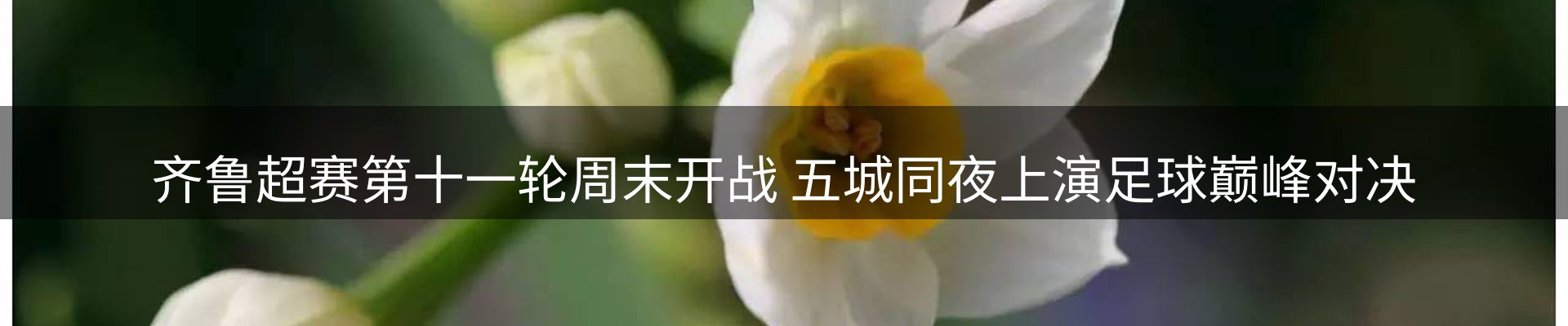 ued官网要闻